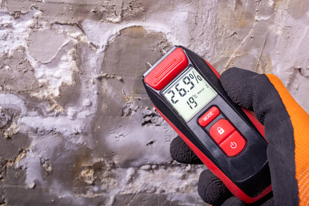 Mold Testing and Removal in Lacoochee, FL