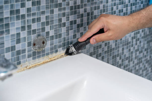 Best Emergency Mold Removal  in Lacoochee, FL